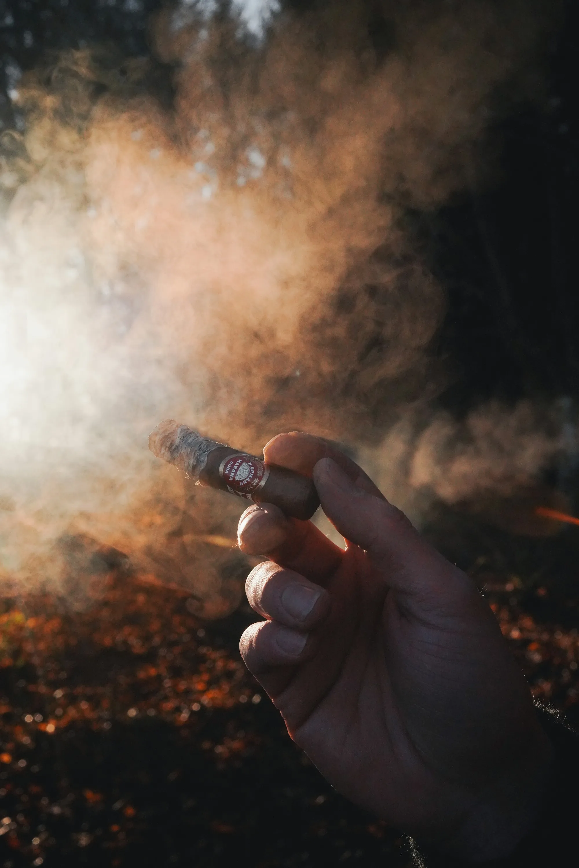 A hand holding a lit cigar, smoke rising