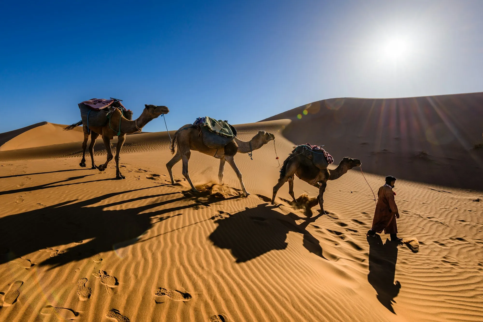 A man walking with camels in the desert